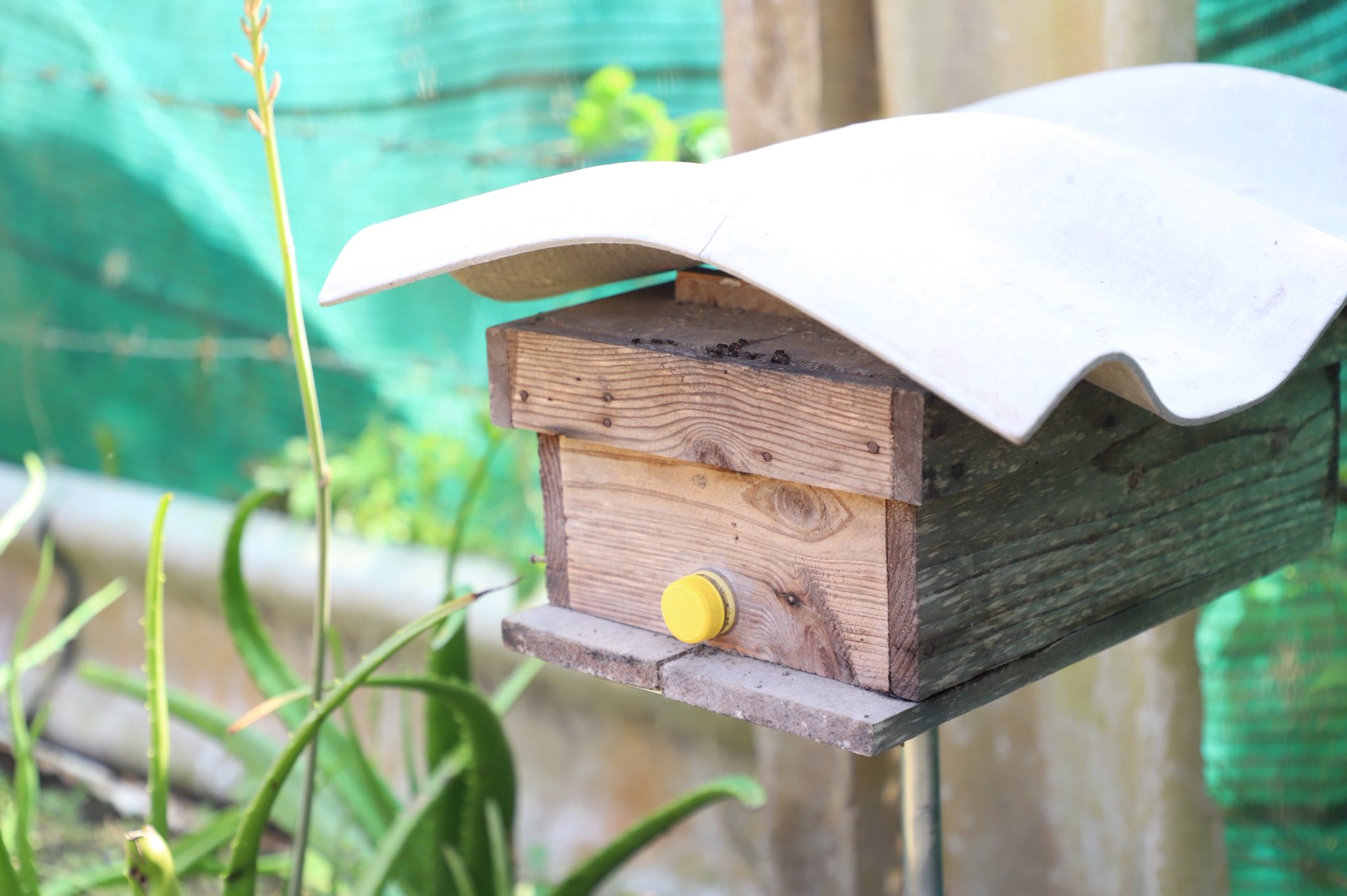 title - ”พลิกโฉมเกษตรกรสู่ผู้ประกอบการ“ ส.ป.ก.ลำพูน โชว์ความสำเร็จเกษตรอินทรีย์ครบวงจร ตั้งแต่แปลงปลูกสู่ตลาดพรีเมียม!!